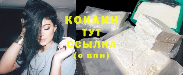 прущая мука Арсеньев