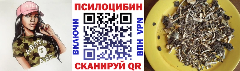 купить наркоту  Удомля  Псилоцибиновые грибы Cubensis 